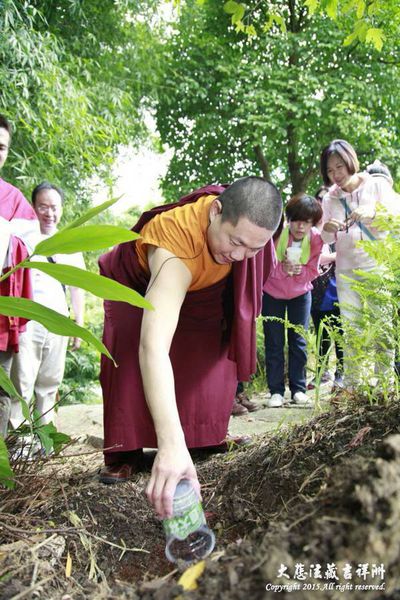 觀音山-台北護生7