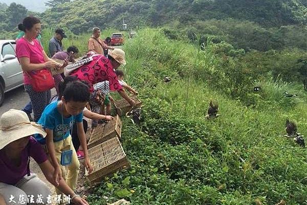 觀音山-廣州放生15