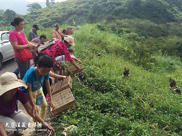 觀音山-廣州放生15