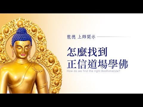 How to find the right channel to learn Buddhism