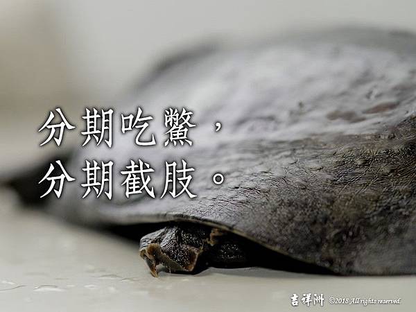分期吃鱉分期截肢