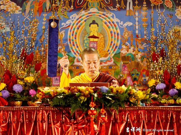 金豕來報喜，佛光浴娑婆!1