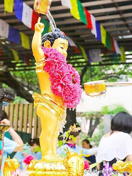 浴佛感恩季第三站 榮總浴佛癒身心1