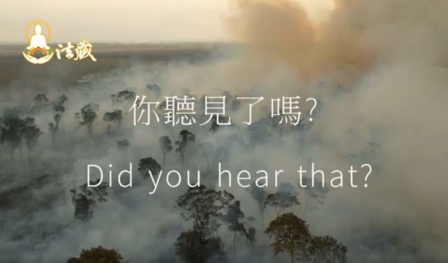 自己的地球自己救