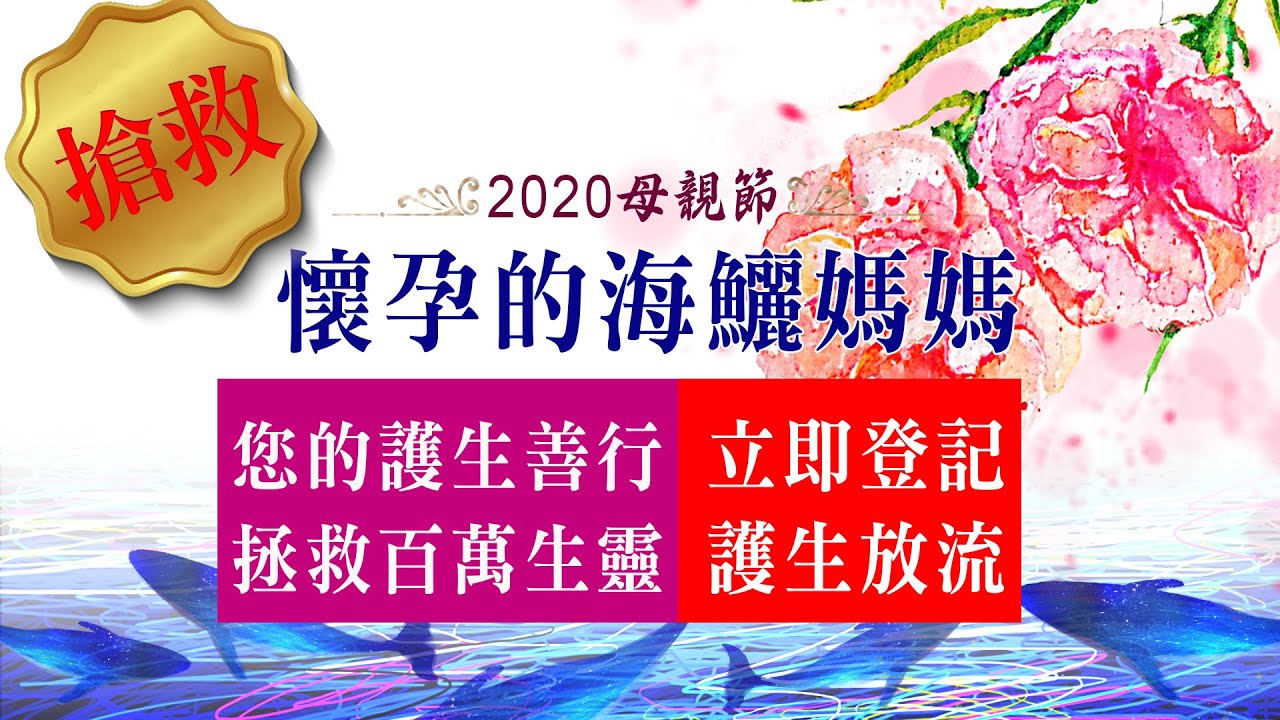 2020母親節,【搶救懷孕的海鱺媽媽】熱烈登記中,您的護生善行,拯救百萬生靈! Marine conservation