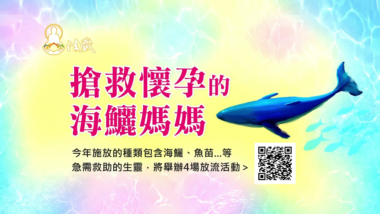 母親節感人影片:千隻魚寶寶合力救媽媽! liferelease