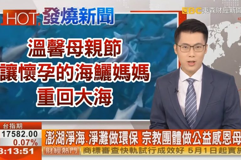 東森財經做公益感恩母愛觀音山龍德嚴淨仁波切推動淨海淨灘放流永續海洋資源