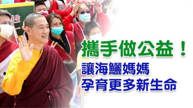 民視台語新聞觀音山龍德嚴淨仁波切放流懷孕海鱺送給地球最誠摯的母親節禮物