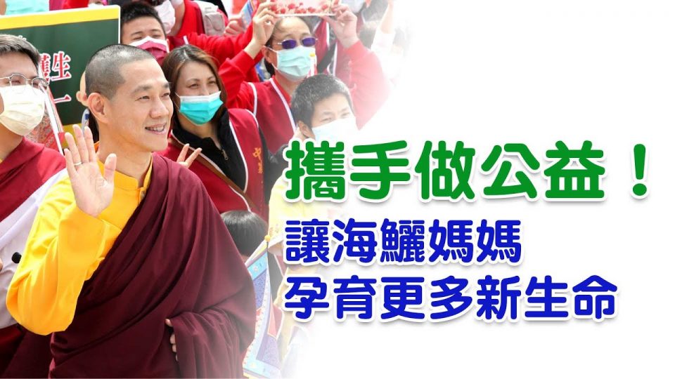 【民視台語新聞】觀音山 龍德嚴淨仁波切放流懷孕海鱺!送給地球最誠摯的母親節禮物 民視台語新聞觀音山龍德嚴淨仁波切放流懷孕海鱺送給地球最誠摯的母親節禮物