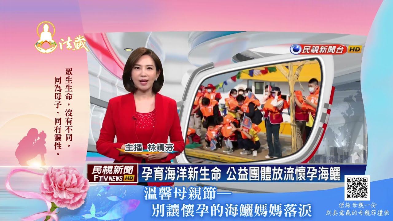 【民視新聞林靖芬主播】孕育海洋新生命 觀音山 龍德上師放流懷孕海鱺-民視台語新聞