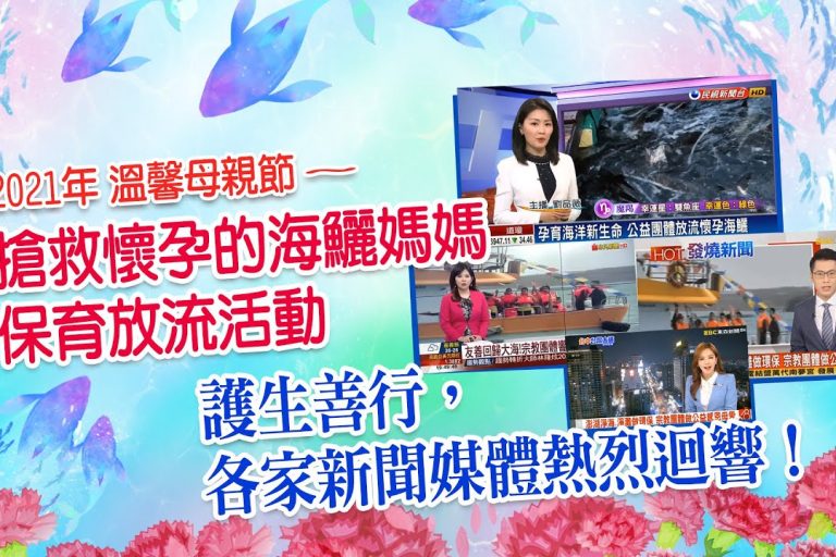 搶救懷孕的海鱺媽媽護生善行 各大新聞媒體報章雜誌熱烈報導
