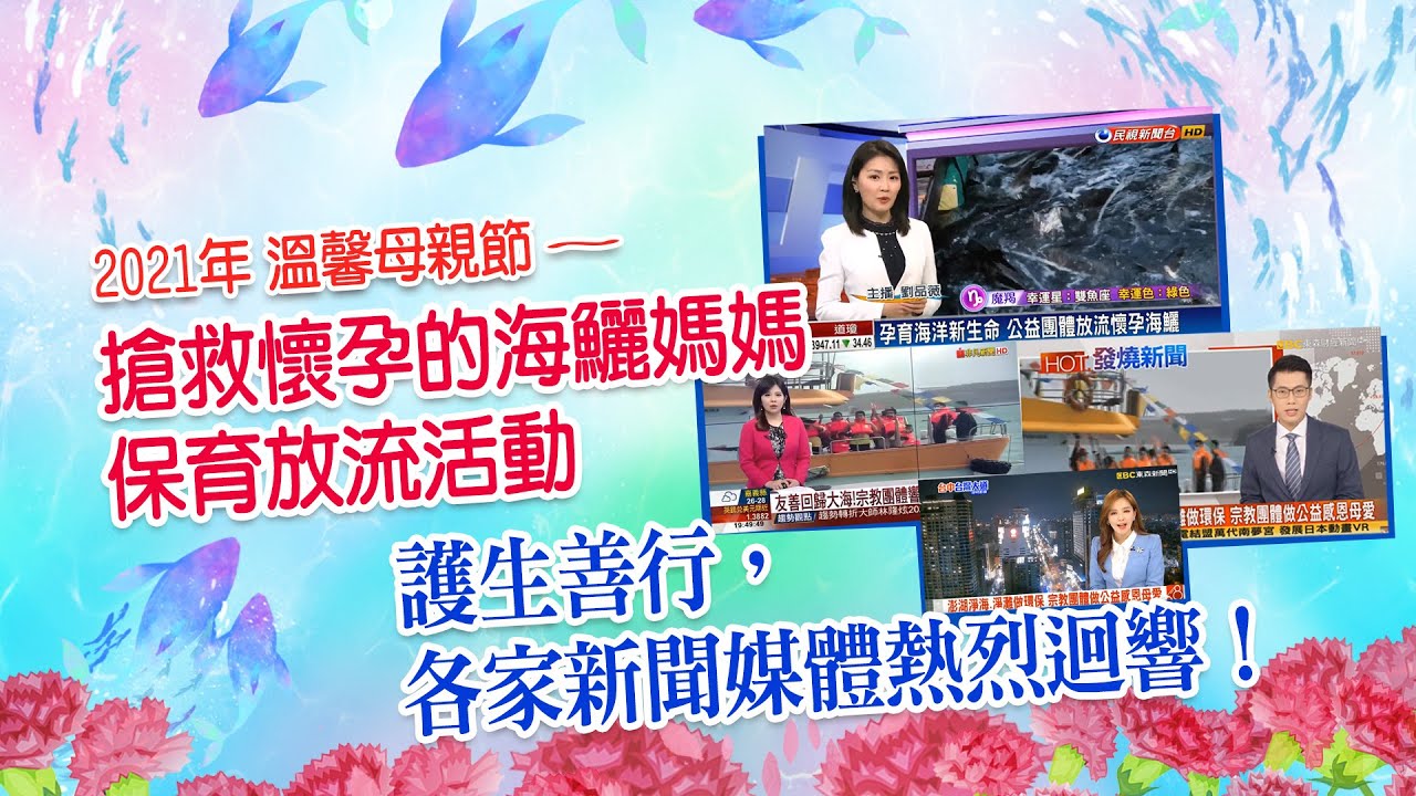 搶救懷孕的海鱺媽媽護生善行 各大新聞媒體報章雜誌熱烈報導