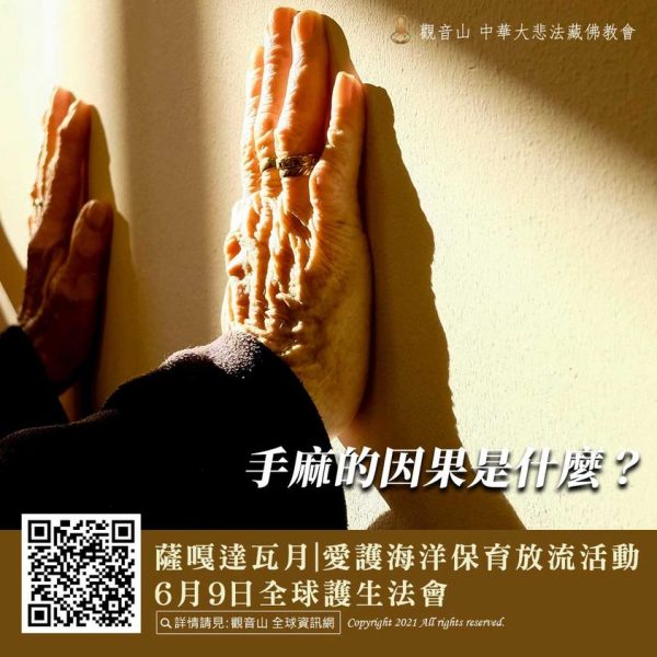 民間公案 手麻的因果 佛教公案 因果公案 護生