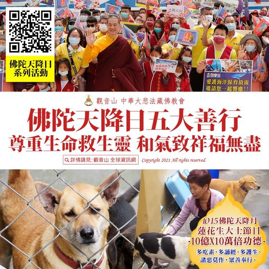 佛陀天降日五大善行尊重生命救生靈和氣致祥福無盡