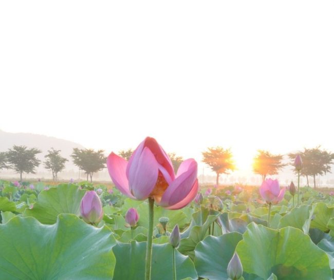 五戒表解-五戒歌