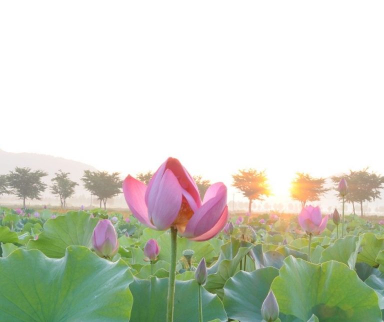 五戒表解-五戒歌