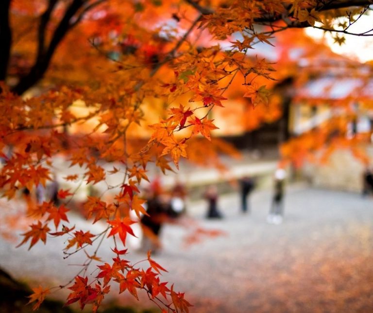 觀七種境與四種樂-五戒表解