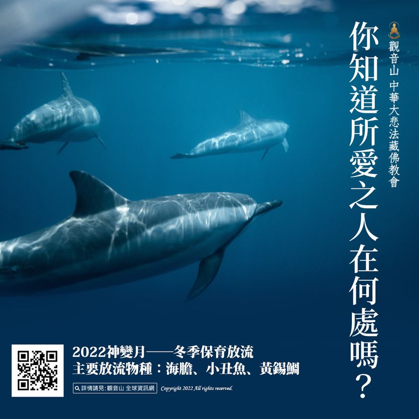 你知道所愛之人在何處嗎保育放流神變月