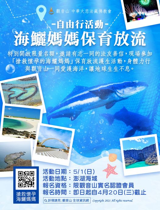 海鱺媽媽保育放流 自由行活動