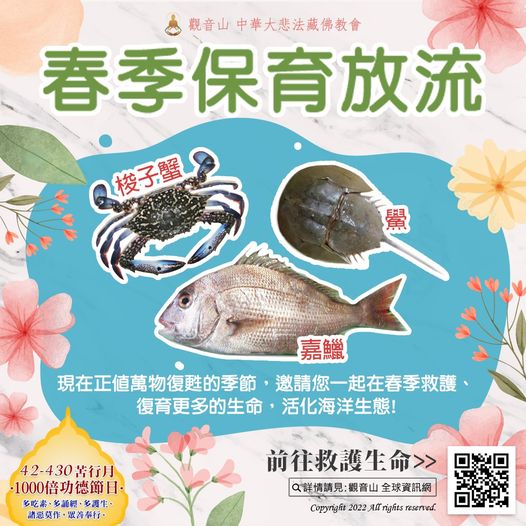 spring life release 春季保育放流