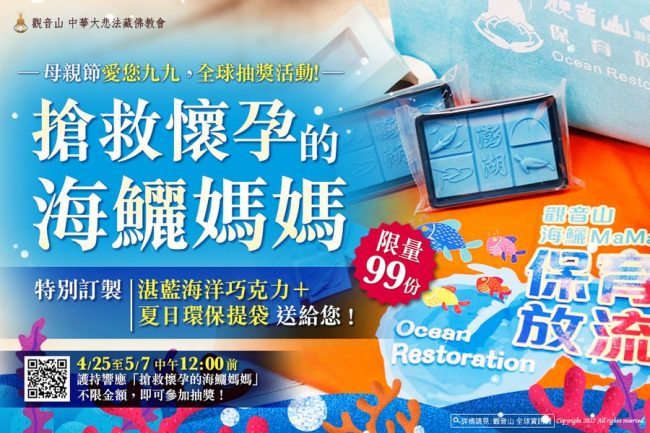 觀音山 搶救懷孕的海鱺媽媽 母親節 抽獎活動