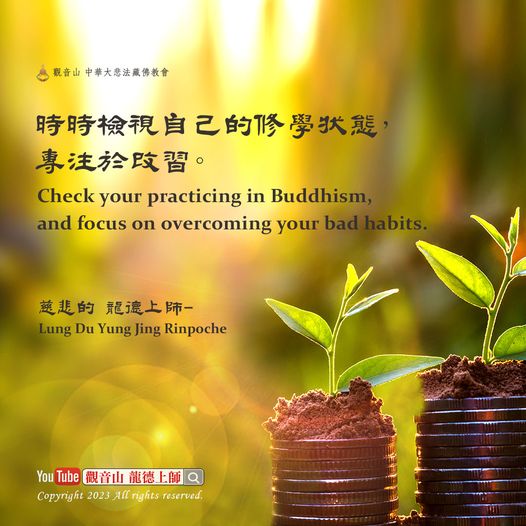 時時檢視自己的修學狀態，專注於改習。——慈悲 龍德上師 ©
