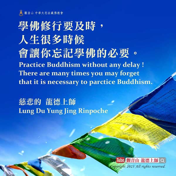 龍德上師法語