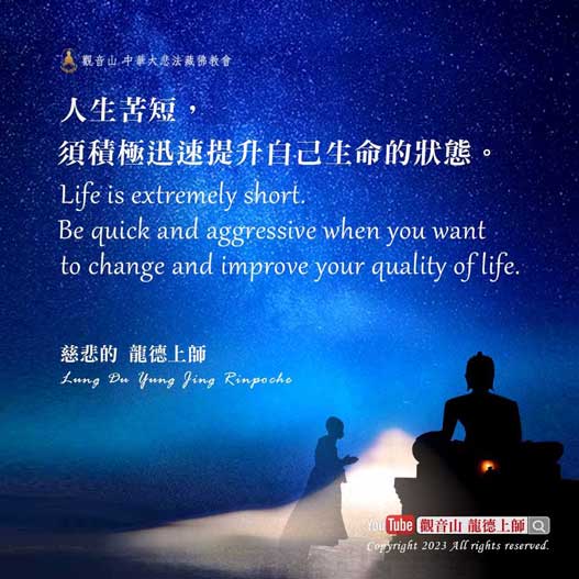 lifeisshort 人生苦短