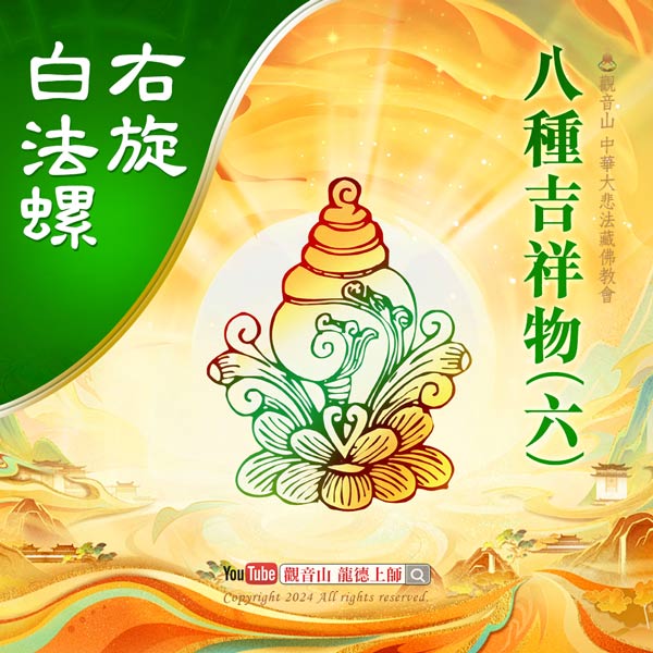 eightluckygoods 白法螺