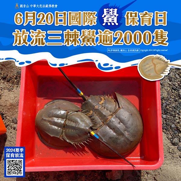 horseshoecrab009 國際鱟保育日