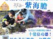 合法放生